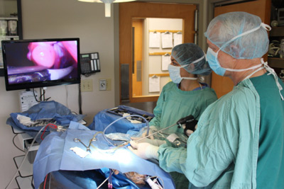 The operation of 3D laparoscopy - AVICENNA MED, Kiev
